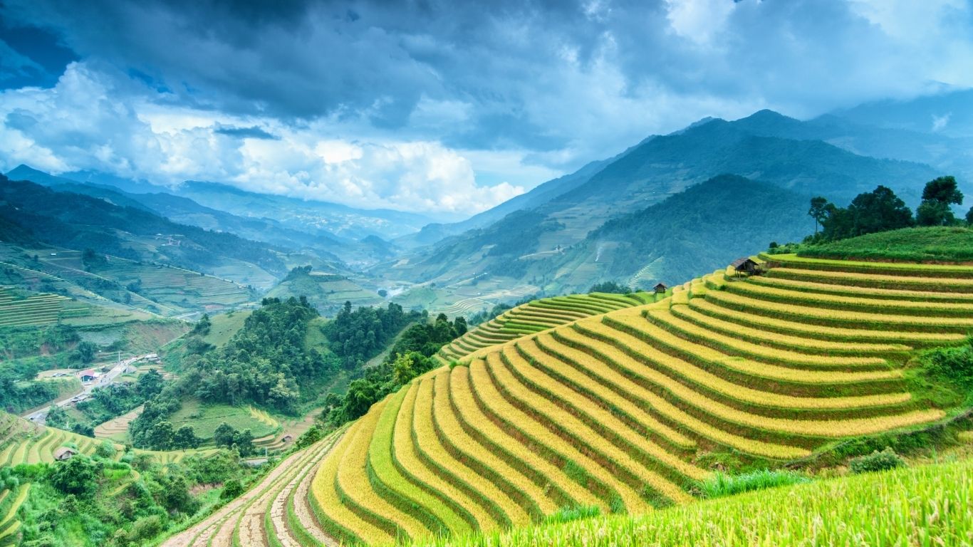Bảo hiểm du lịch trong nước